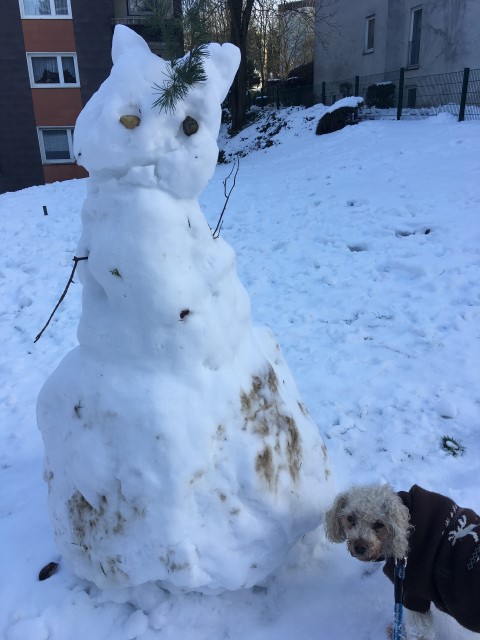 Willi und die Schneekatze